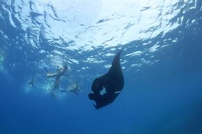 Barefoot Manta Island Resort and Marine Sanctuary