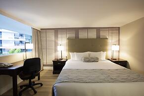 Krystal Satélite María Bárbara