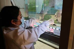 Hengfeng Haiyue International Hotel