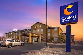 Comfort Inn & Suites Artesia
