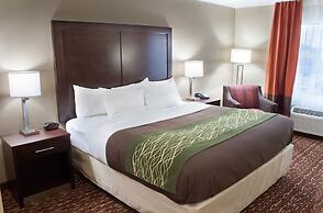 Comfort Inn & Suites Artesia