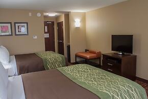 Comfort Inn & Suites Artesia
