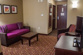 Comfort Inn & Suites Artesia