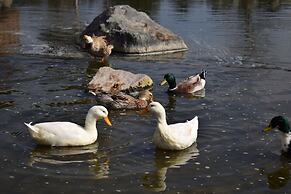 Apart Hotel y Cabañas Vegasur