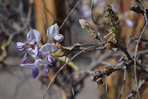 Apart Hotel y Cabañas Vegasur