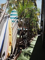 Backpackers In Paradise Resort - Hostel