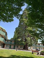 Robin Hood Inn & Suites