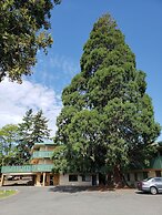 Robin Hood Inn & Suites