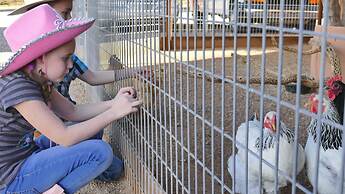 White Stallion Ranch