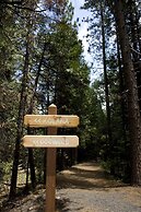 Evergreen Lodge Yosemite