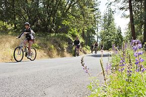Evergreen Lodge Yosemite