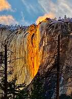 Evergreen Lodge Yosemite