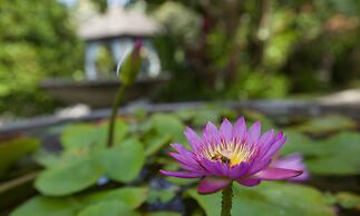 Bayshore Villas Candi Dasa