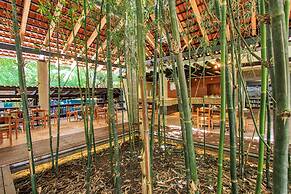 Hotel Ciudad Real Palenque