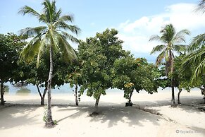 Dos Palmas Island Resort & Spa