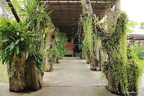 Dos Palmas Island Resort & Spa