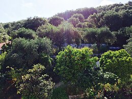 Avra Paradise Aparthotel