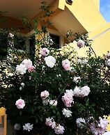 Avra Paradise Aparthotel