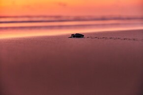 One Puerto Vallarta Aeropuerto