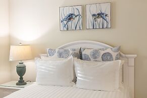 Dolphin Cove - Adults Only