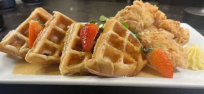 Dolphin Cove - Adults Only