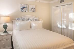 Dolphin Cove - Adults Only