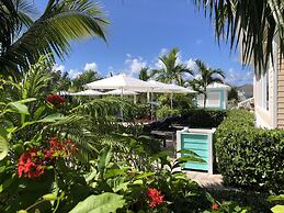 Dolphin Cove - Adults Only