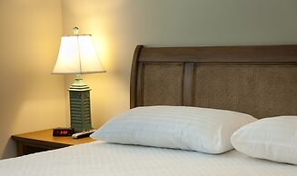 Dolphin Cove - Adults Only