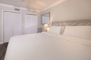 Dolphin Cove - Adults Only