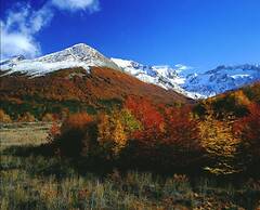 Arakur Ushuaia Resort & Spa