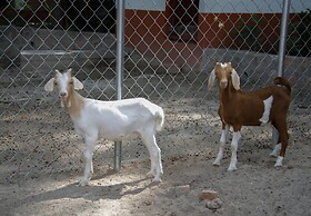 Hotel Hacienda Vista Hermosa