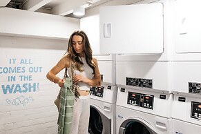 Little Drifter Bondi Beach