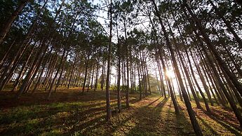 Binh An Village Dalat