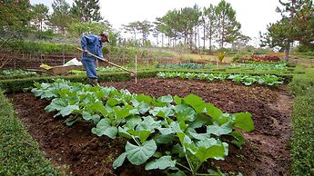 Binh An Village Dalat