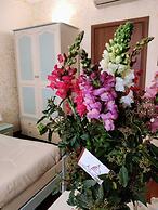 St. Peter's Rooms Rome