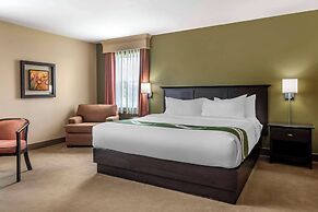 Quality Inn & Suites Quispamsis