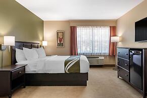 Quality Inn & Suites Quispamsis