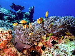 Eriyadu Island Resort