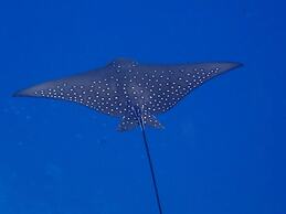 Eriyadu Island Resort