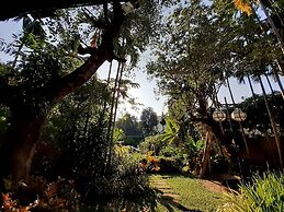 Viang Thapae Resort