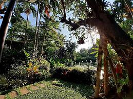 Viang Thapae Resort