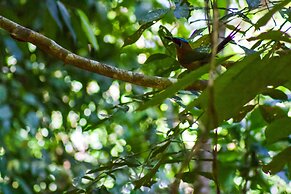 Hotel Las Caletas Lodge