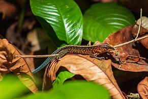 Hotel Las Caletas Lodge