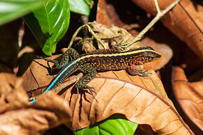 Hotel Las Caletas Lodge