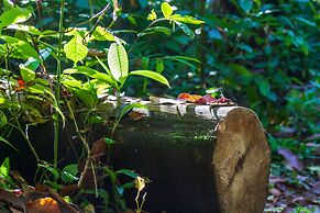 Hotel Las Caletas Lodge