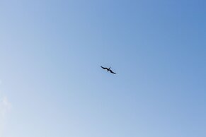 Hotel Las Caletas Lodge