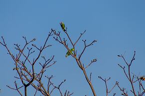 Hotel Las Caletas Lodge