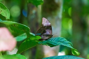 Hotel Las Caletas Lodge