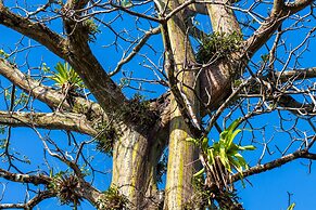 Hotel Las Caletas Lodge