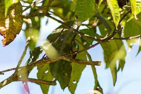 Hotel Las Caletas Lodge